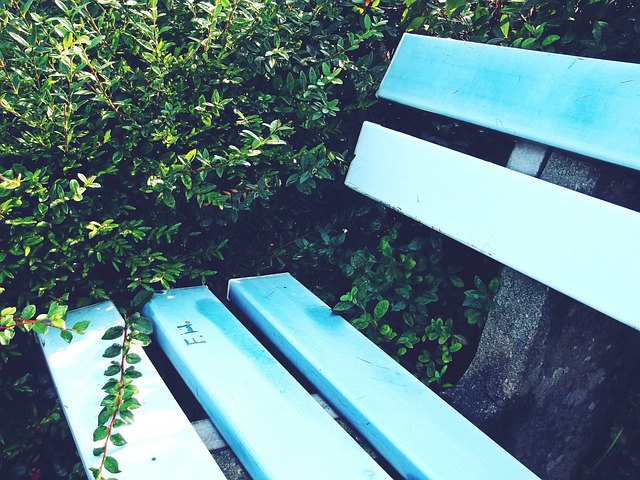 为居民提供 为居民提供