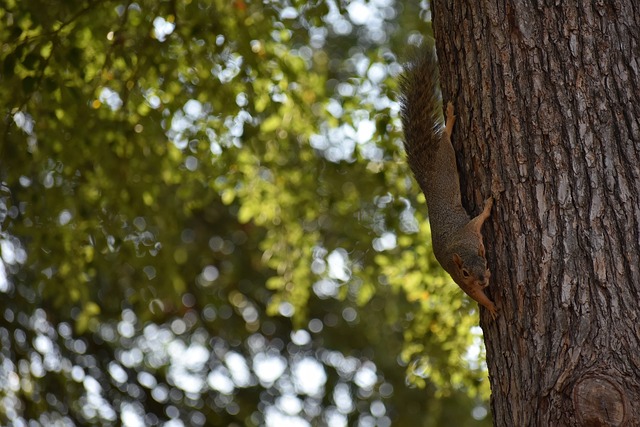 通过这些样 通过这些样