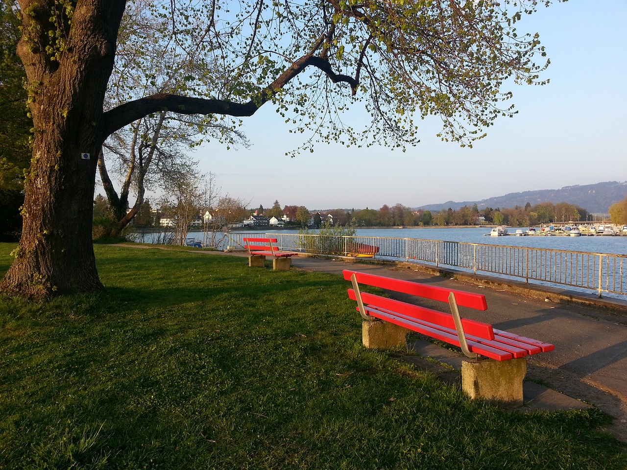 再次证明了 再次证明了