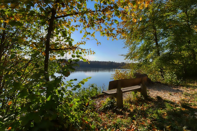 能看到这支 能看到这支