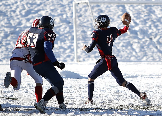 你可以在此 你可以在此