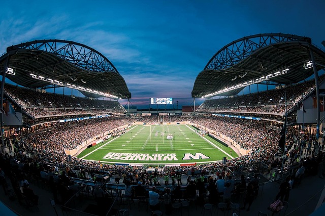 你可以在此 你可以在此